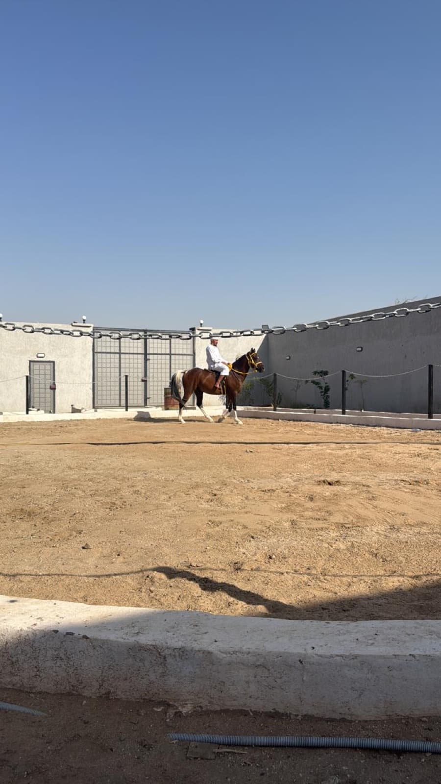 ركوب الخيل