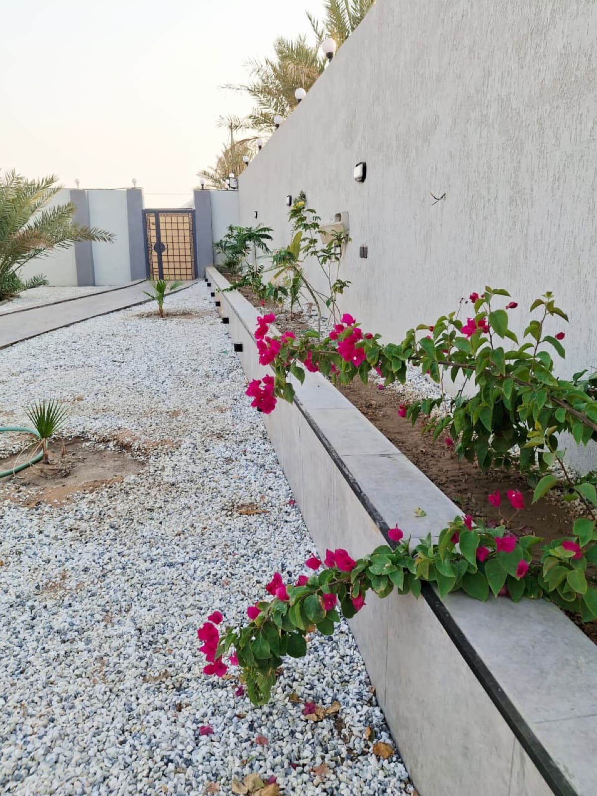 حديقة القرآن